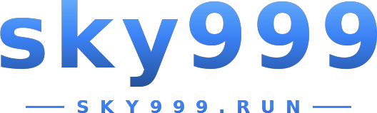 sky999 logo